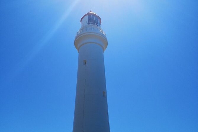 Split Point Lighthouse Tours - Choosing your time slot: late morning to early afternoon departures