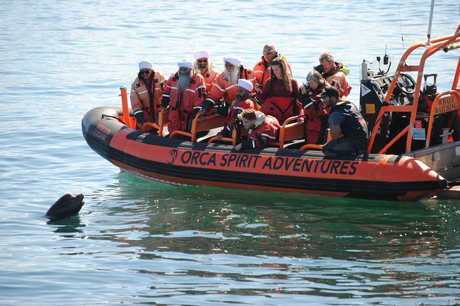 Summer Whale Watching Tour in a Zodiac Boat in Victoria - Race Rocks Ecological Reserve: why tides and rocks matter for marine life