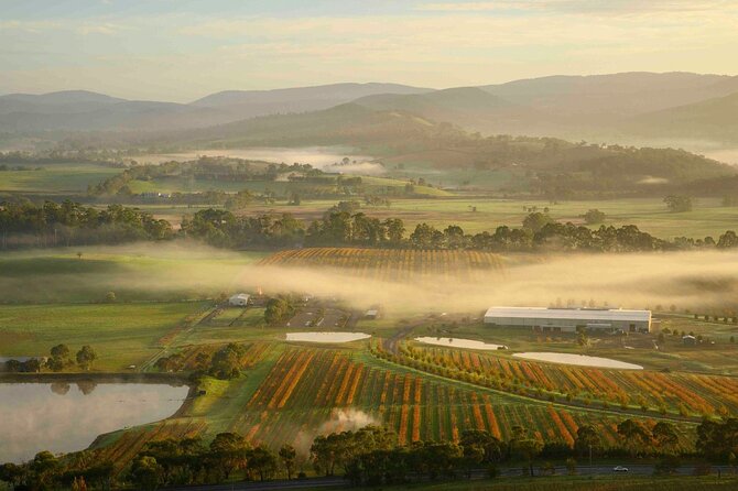 Sunrise Hot Air Balloon Flight over Yarra Valley + Breakfast - Continental breakfast at Rochford Wines: the payoff after you land