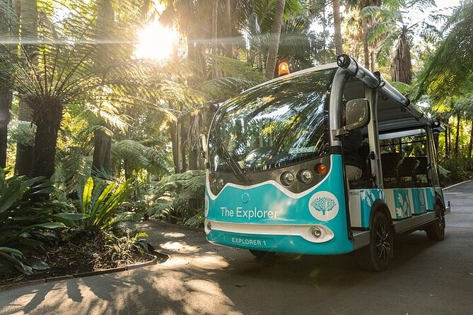 The Explorer - Melbourne Gardens - Why the open-air minibus feels better than walking