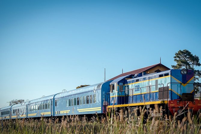 The Q Train - Q Class Social Dining - Value and price: is $103.28 a good deal?