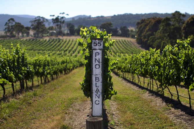 Ultimate Mornington Peninsula Food and Wine Small Group Tour - Merricks General Store: Lunch With a Wine Pairing and Time to Shop