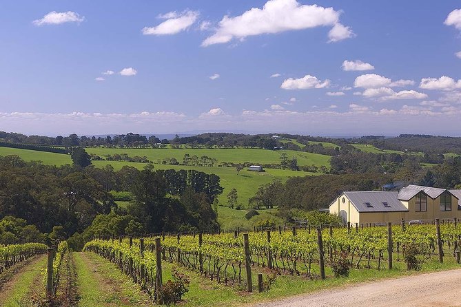 Ultimate Mornington Peninsula Food and Wine Small Group Tour - What the Tastings Actually Feel Like (Pace, Preferences, and Pairing)