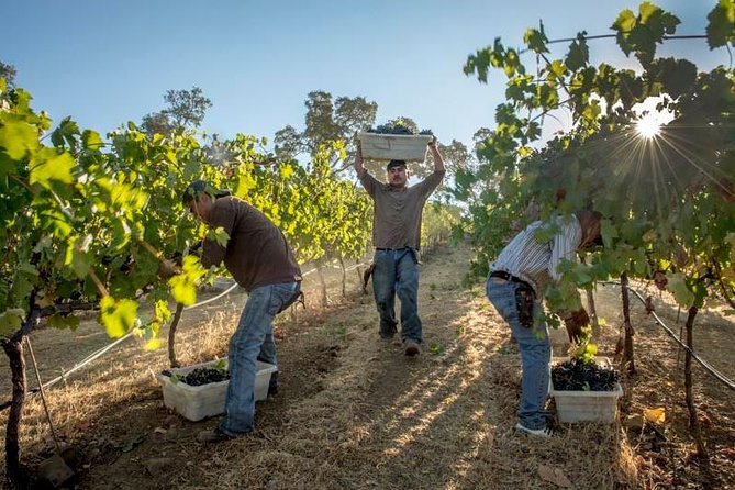 Ultimate Mornington Peninsula Food and Wine Small Group Tour - Small Group Value at $193.66: What You’re Really Paying For