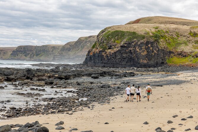 Ultimate Peninsula Adventure: Stand Up Paddle, Hot Springs, Hike, Lunch & Winery - Picnic lunch at a beach viewpoint: simple, local, and timed right