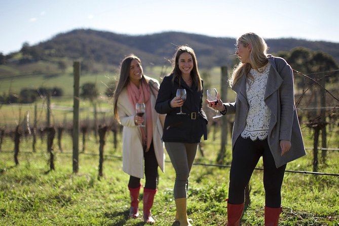 Ultimate Yarra Valley Chandon, Soumah & De Bortoli Cheese & Wine - Soumah Stop and the Extra Cellar Door Feel: How the Day Is Paced