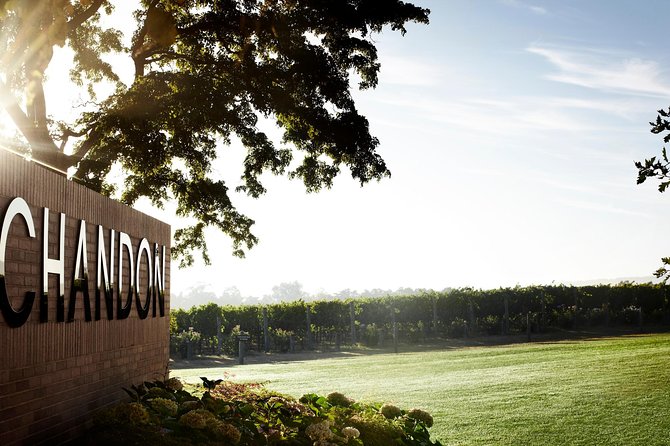 Ultimate Yarra Valley Chandon, Soumah & De Bortoli Cheese & Wine - Who Should Book This Tour (and Who Might Want Another Option)