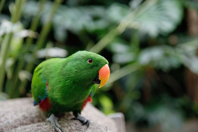 Victoria Butterfly Gardens Ticket - Getting There and Pairing It With Butchart Gardens