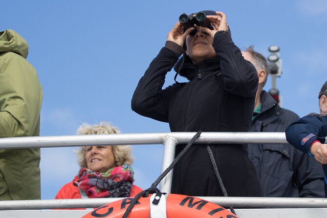Victoria Whale Watching Tour on a Covered Vessel - Getting to the boat at 146 Kingston St without losing time