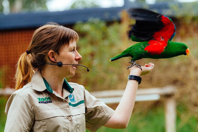 VIP Sanctuary Tour at Healesville Sanctuary - excl. entry - Booking call: should you book this VIP Sanctuary Tour?