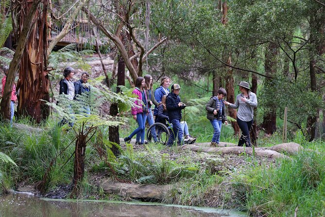 Walk with Wildlife: Guided Tour in Great Ocean Road - Why this Great Ocean Road wildlife walk feels different