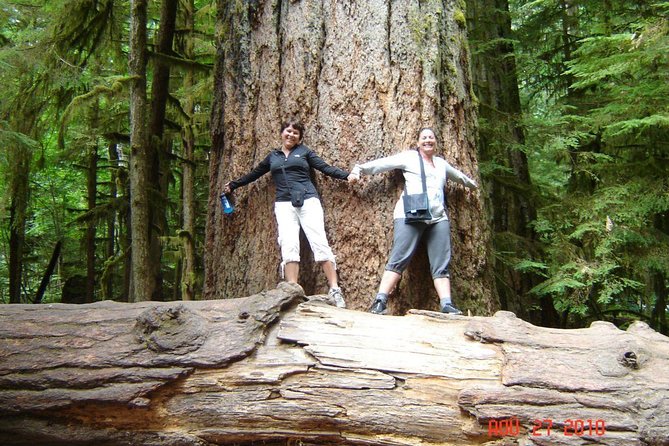 Waterfalls, Coombs and Cathedral Grove Rainforest Tour - Key things worth knowing before you go