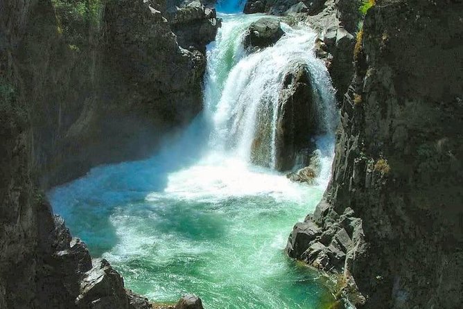 Waterfalls, Coombs and Cathedral Grove Rainforest Tour - Why This Victoria-to-Vancouver Island Day Tour Feels Personal