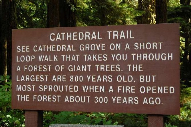 Waterfalls, Coombs and Cathedral Grove Rainforest Tour - Getting There: Private Pickup, 9 Hours, and a Calm Pace