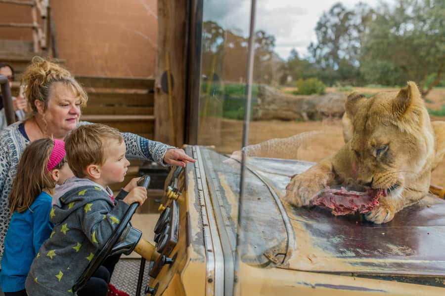 Werribee Open Range Zoo: Entry Ticket - Werribee Open Range Zoo Ticket: What $37 Buys You (And Why It’s Fair)