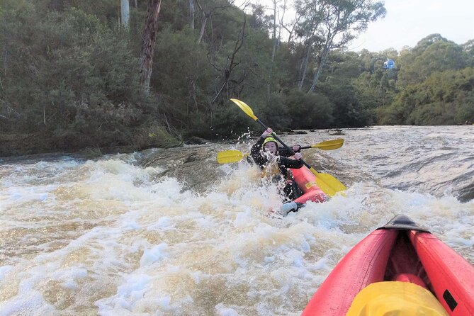 Whitewater Sports rafting on the Yarra river - The Scenery Part: Native Bush Along the Yarra