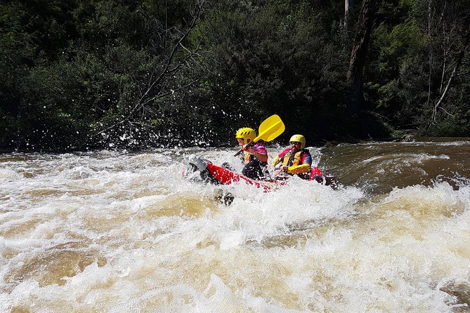 Whitewater Sports rafting on the Yarra river - Getting Kitted Out: Gear, Helmets, and GoPro Mounting