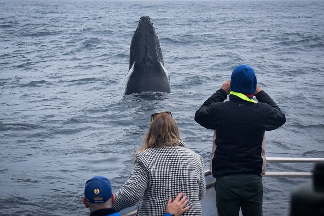 Wilsons Prom Whale Cruise - Morning Tea, Lunch, and Deck Comfort That Actually Works