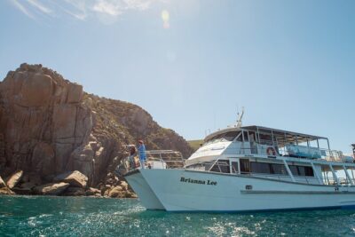 Wilsons Prom Whale Cruise - Refuge Cove, Waterloo Bay, and the Lighthouse Moment