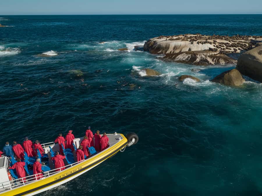 Wilsons Promontory: Afternoon Wilderness Cruise - The first wow: South Point and the southern mainland feeling