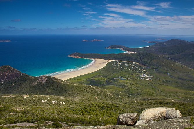 Wilson's Promontory & Phillip Island - 'Prom & Penguins' Tour - Key highlights to know before you go