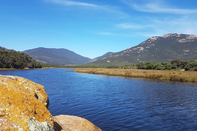 Wilson's Promontory & Phillip Island - 'Prom & Penguins' Tour - Wilson’s Promontory: 5 hours of beach strolls and short bushwalks