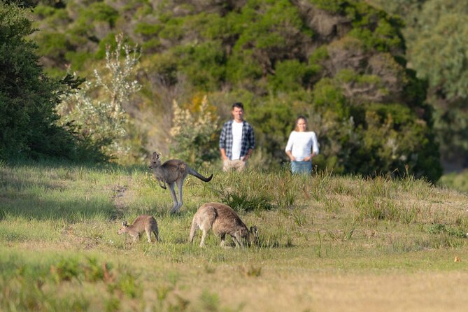Wilsons Promontory Wilderness Day Tour - A long 6:30 am start that sets up the best light and timing