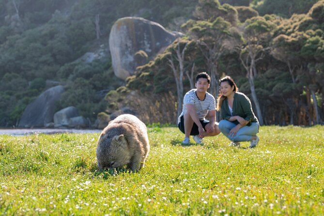 Wilsons Promontory Wilderness Day Tour - Norman Beach and the Tidal River area: reset your senses