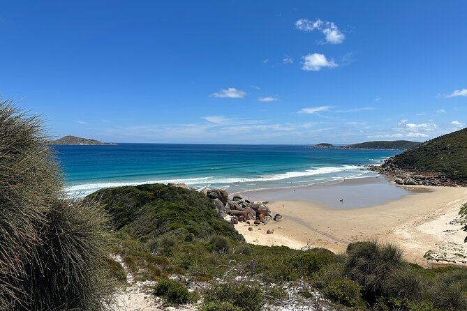 Wilsons Promontory Wilderness Day Tour - Tidal River Visitor Centre lunch stop: time to refuel without losing momentum