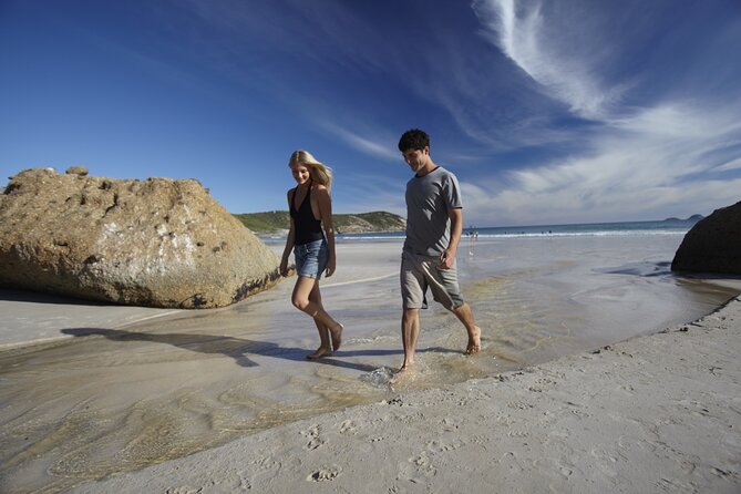 Wilsons Promontory Wilderness Day Tour - Glennie Lookout: a short stop with big-view payoff