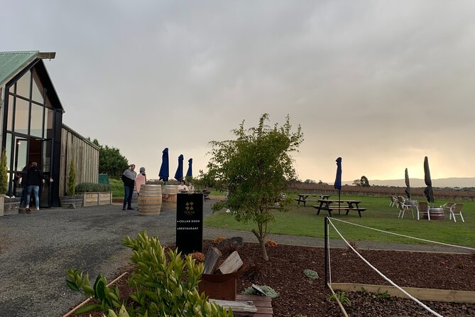 Wine Tour Yarra Valley Five Star Experience - Soumah: The Award-Winning Winery Stop People Don’t Forget