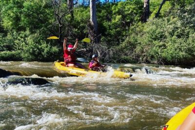Yarra River Half-Day Rafting Experience - Paddle through mini-gorges, valleys, and wildlife