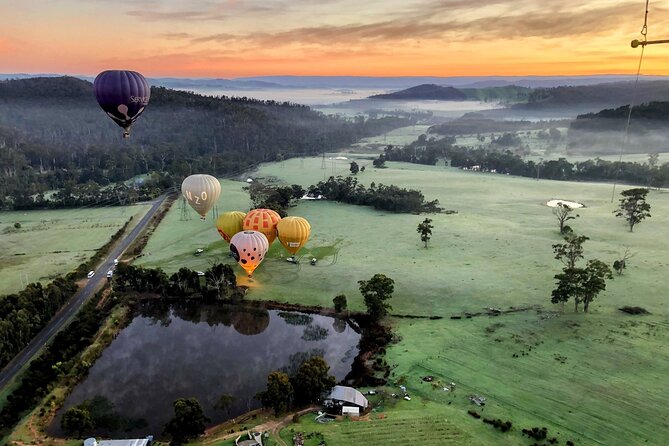 Yarra Valley Balloon Flight + Breakfast & Melbourne Pickup - Packing up and returning to Rochford Wines for breakfast