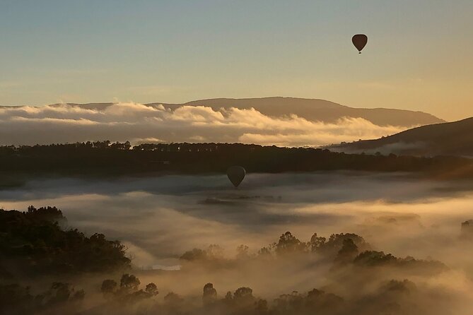 Yarra Valley Balloon Flight + Breakfast & Melbourne Pickup - Price and logistics: is $365.79 good value?