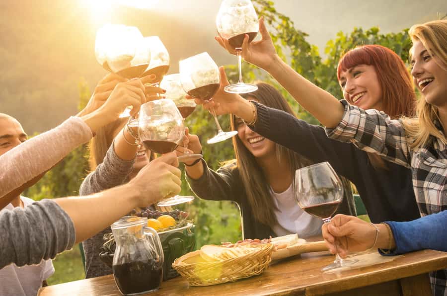 Yarra Valley: Bus Wine Tour with Lunch and a Glass of Wine - Price and Value: What $123 Gets You in One Day