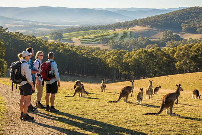 Yarra Valley by night! Private wine, whisky and dinner tour - Key things to know before you go