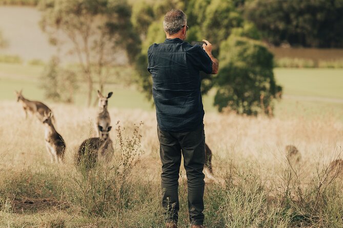 Yarra Valley by night! Private wine, whisky and dinner tour - Who this tour suits best (and who might want something else)