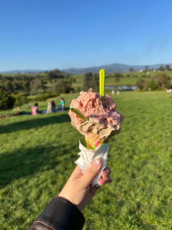 Yarra Valley Foodies Tour with Chandon and Kangaroo Safari! - Who should book this tour (and who should skip it)