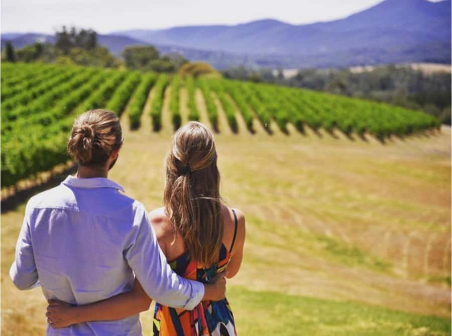 Yarra Valley Foodies Tour with Chandon and Kangaroo Safari! - Domaine Chandon: sparkling wine tastings with real time to look around