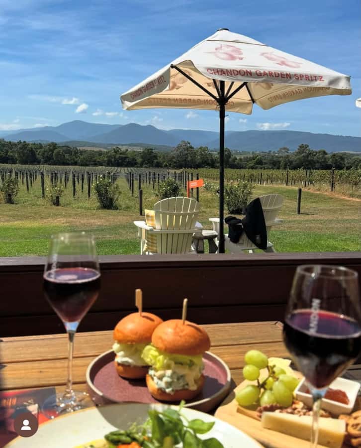 Yarra Valley Foodies Tour with Chandon and Kangaroo Safari! - Yering Station Winery: cool-climate wine tasting with Pinot Noir focus