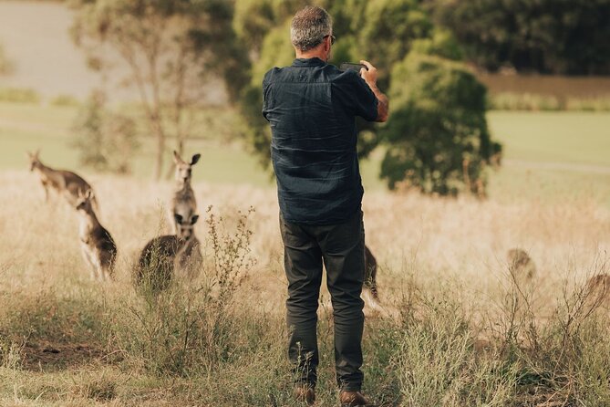 Yarra Valley Foodies Tour with Chandon & Kangaroo Safari! - Yarra Valley Dairy Cheese Tasting: Cows, Goats, and Onsite Flavor