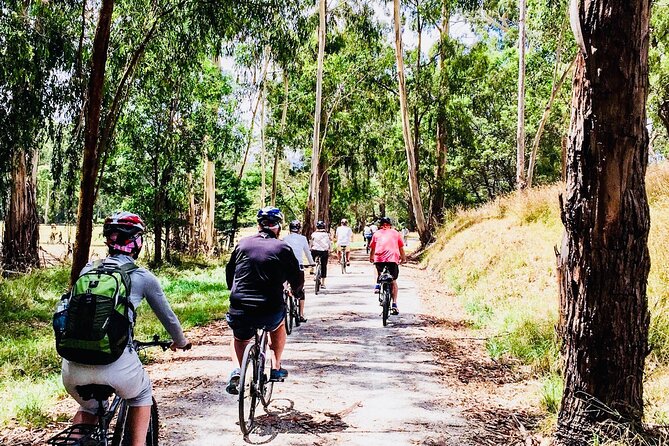 Yarra Valley Guided Bike Tour | Food & Wine Region - Stop 4: Yarra Valley Dairy cheese tasting in a 100-year-old milking shed