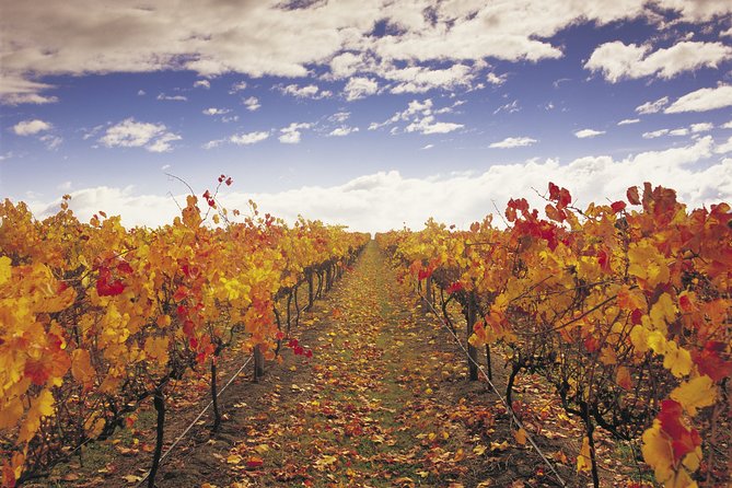 Yarra Valley Wildlife & Wine Day Tour with Healesville Sanctuary - Price and Logistics: Does $236.69 Make Sense?