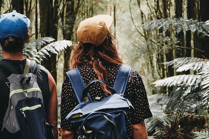 Yarra Valley Wildlife & Wine Day Tour with Healesville Sanctuary - Who This Tour Is For (And Who Might Feel Crunched)