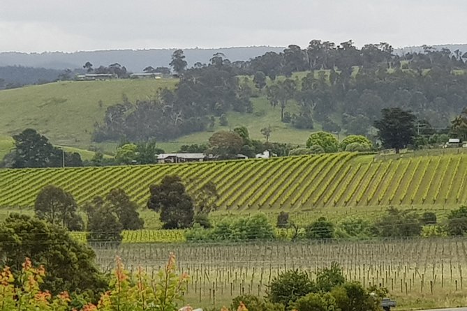 Yarra Valley Wine Tasting Day Tour from Melbourne - Key points at a glance