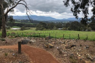 Yarra Valley Wine Tour inc lunch with a glass of wine, tastings and chocolate - Price and what you’re really paying for ($125.52)