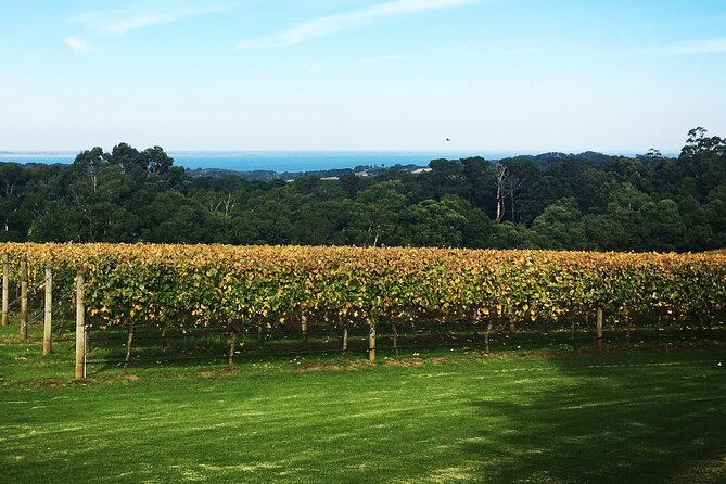 Yarra Valley Wine Tour inc lunch with a glass of wine, tastings and chocolate - Stop 3: Rochford Wines Yarra Valley for lunch, tastings, and a longer breather