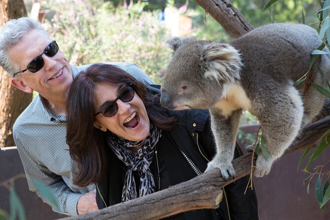 Yarra Valley Wine & Wildlife - Private Regional Tour - Cheese or gin tastings: a smart way to match your group’s mood