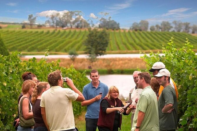 Yarra Valley Wine & Winery Tour from Melbourne - All Inclusive! - Key Tour Takeaways