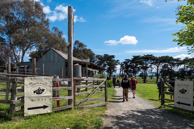 Yarra Valley Wine & Winery Tour from Melbourne - All Inclusive! - Greenstone Vineyards: Views for Your First Pour